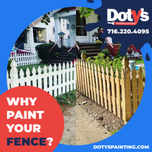 Read more about the article Why Paint Your Fence?