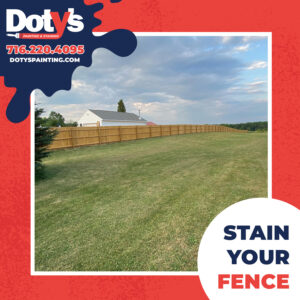 Read more about the article Stain Your Fence